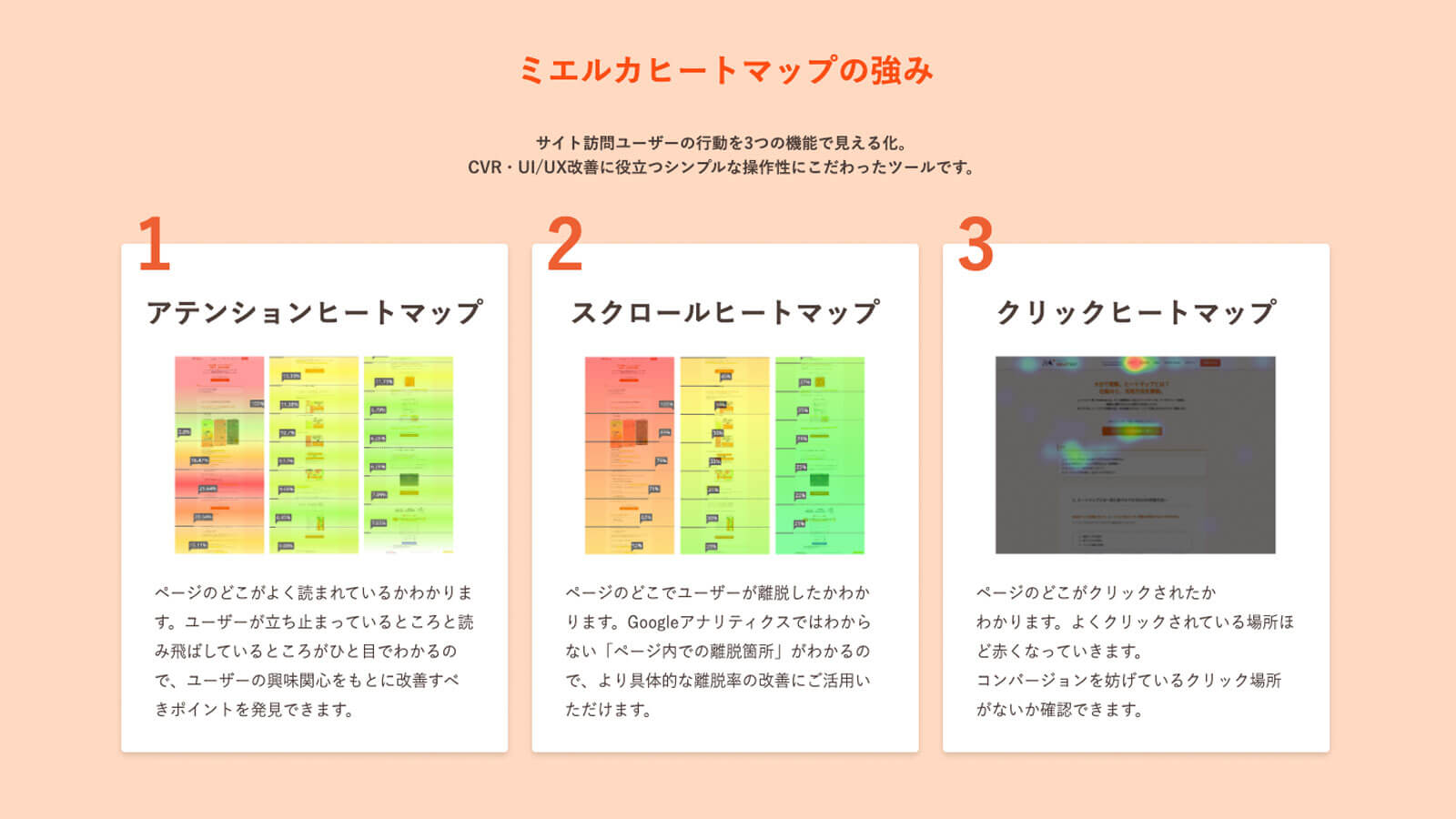 岡本インタビュー